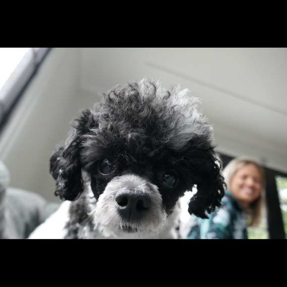 Meet your Posher, Maria - Picture 1 of 1